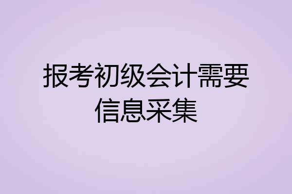 报考初级会计需要信息采集