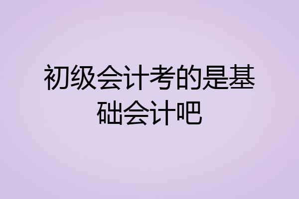 初级会计考的是基础会计吧