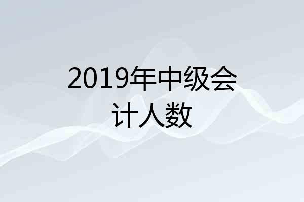 2019年中级会计人数