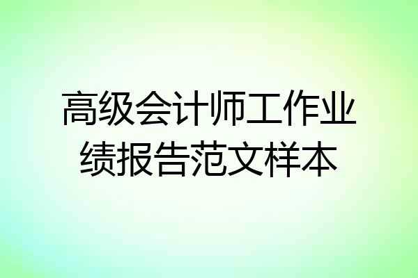 高级会计师工作业绩报告范文样本