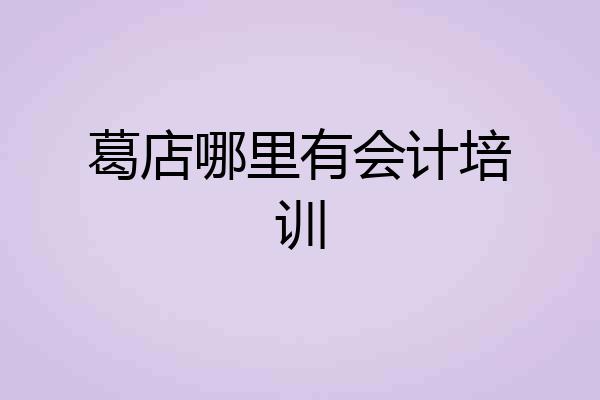 葛店哪里有会计培训