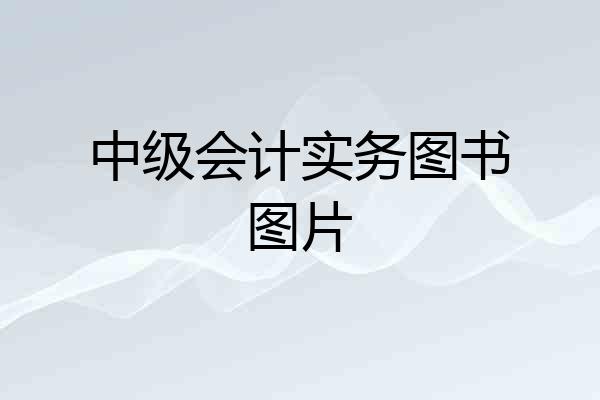 中级会计实务图书图片