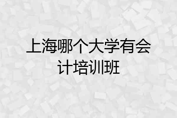 上海哪个大学有会计培训班