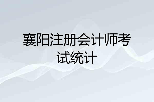 襄阳注册会计师考试统计