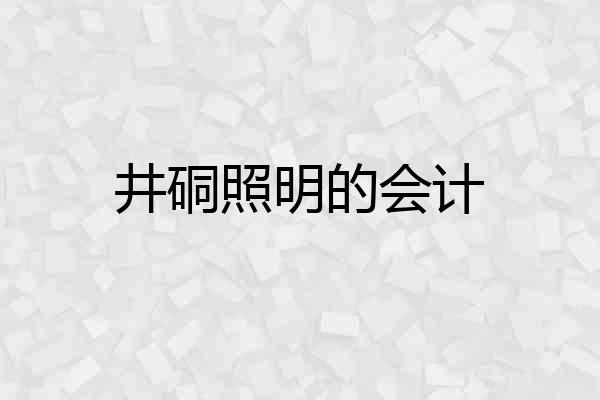 井硐照明的会计