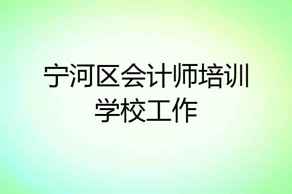 宁河区会计师培训学校工作