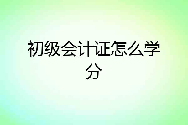初级会计证怎么学分