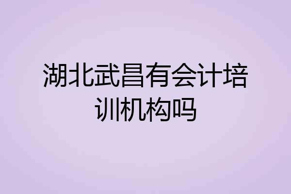 湖北武昌有会计培训机构吗
