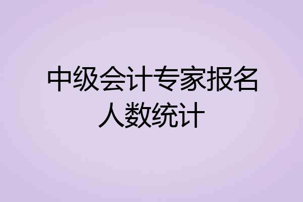 中级会计专家报名人数统计