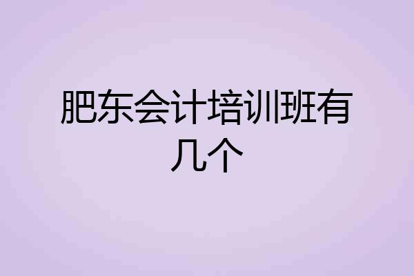 肥东会计培训班有几个