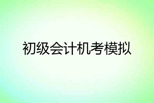 初级会计机考模拟