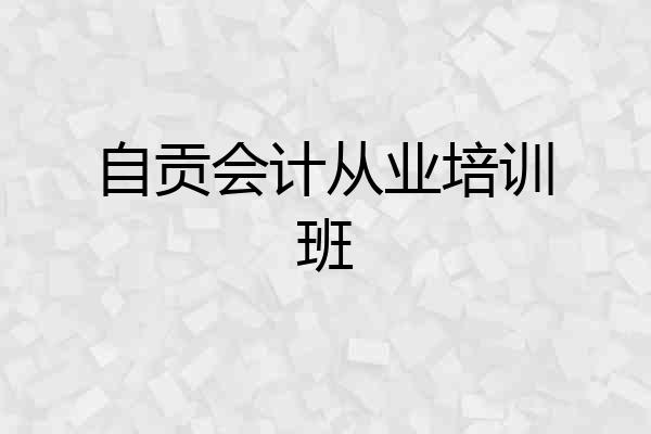 自贡会计从业培训班