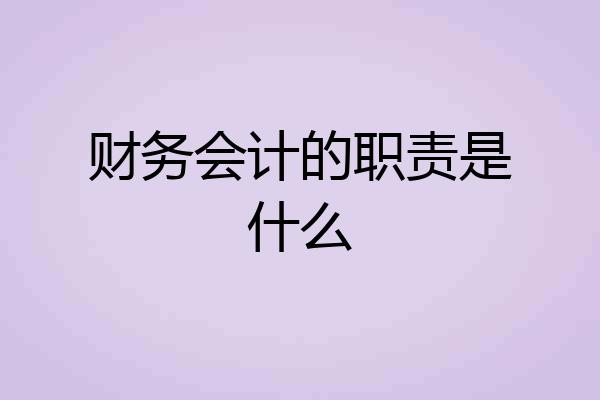 财务会计的职责是什么