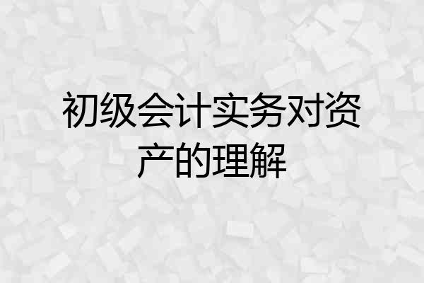 初级会计实务对资产的理解