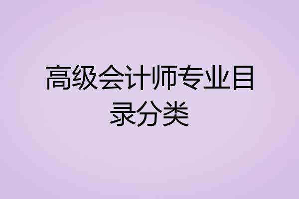 高级会计师专业目录分类