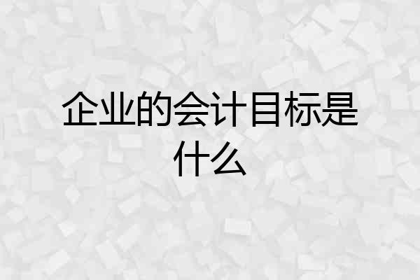 企业的会计目标是什么