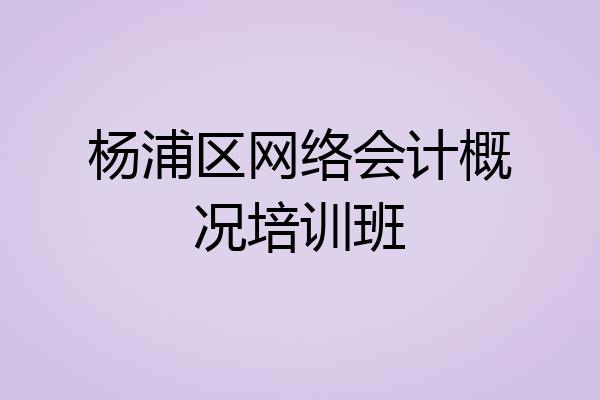 杨浦区网络会计概况培训班