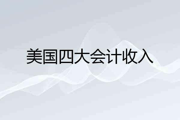 美国四大会计收入