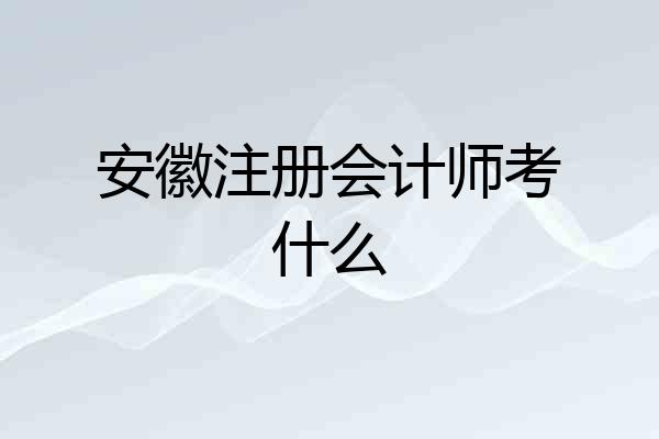安徽注册会计师考什么
