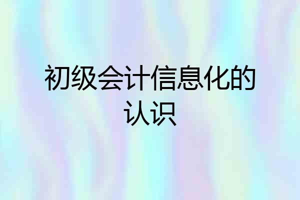 初级会计信息化的认识