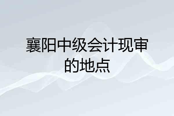 襄阳中级会计现审的地点