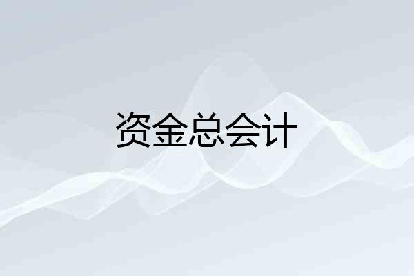 资金总会计