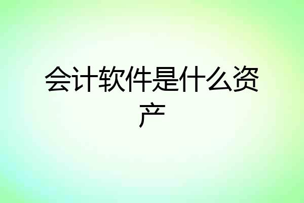 会计软件是什么资产