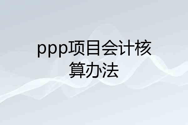 ppp项目会计核算办法