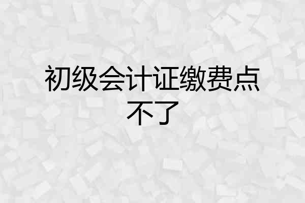 初级会计证缴费点不了