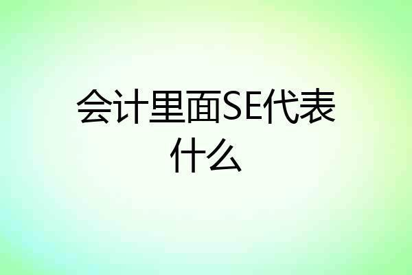 会计里面SE代表什么