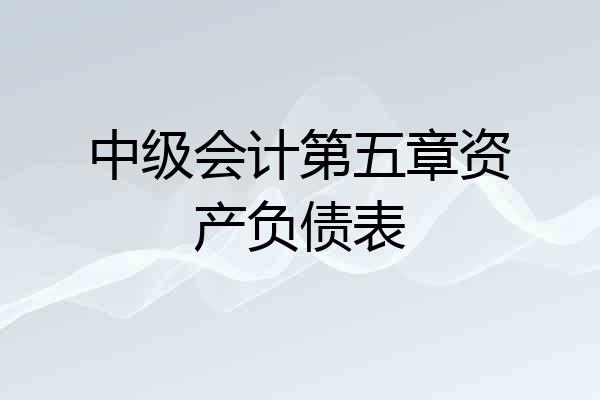 中级会计第五章资产负债表