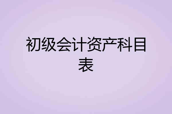 初级会计资产科目表