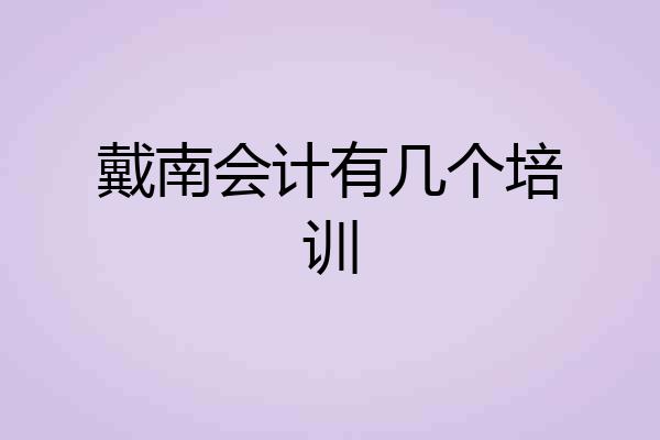 戴南会计有几个培训
