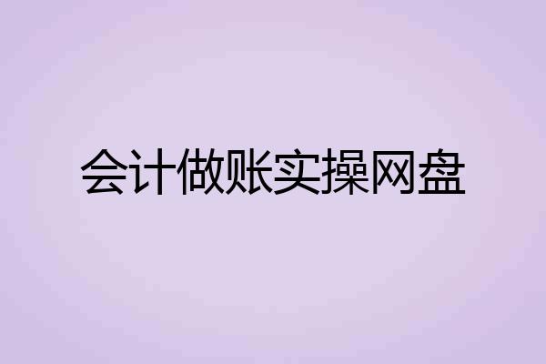 会计做账实操网盘