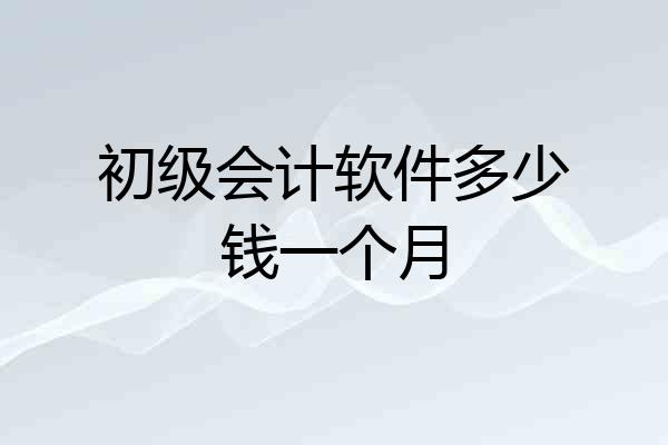 初级会计软件多少钱一个月