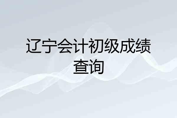 辽宁会计初级成绩查询