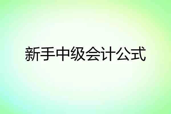 新手中级会计公式