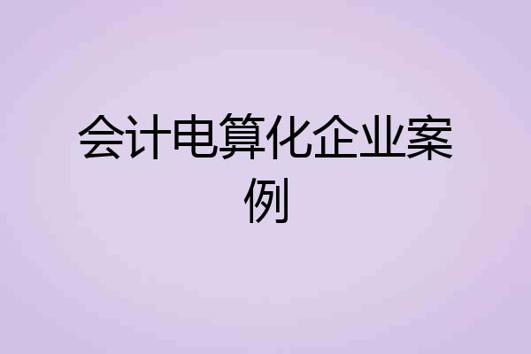 会计电算化企业案例