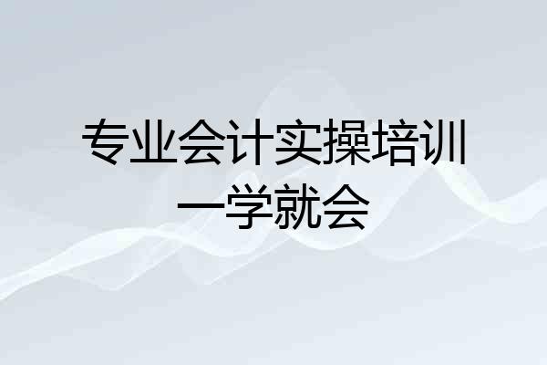 专业会计实操培训一学就会