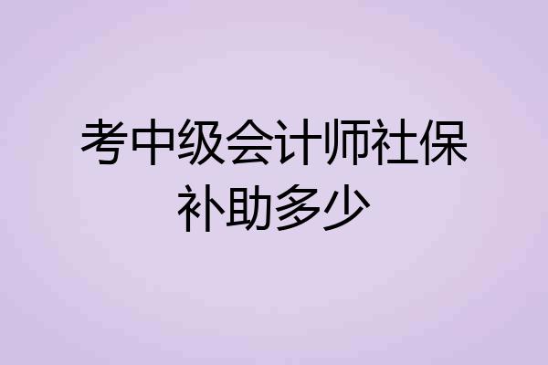 考中级会计师社保补助多少