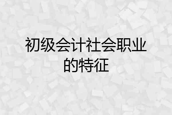 初级会计社会职业的特征