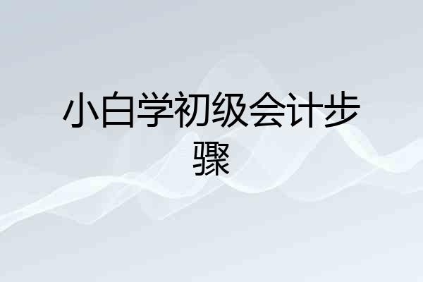 小白学初级会计步骤