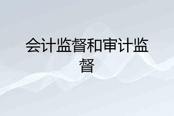 会计监督和审计监督