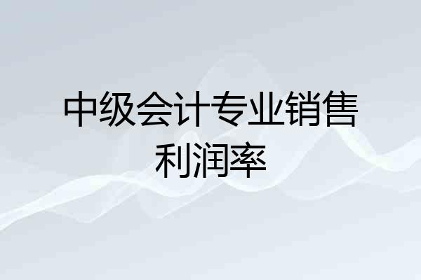 中级会计专业销售利润率