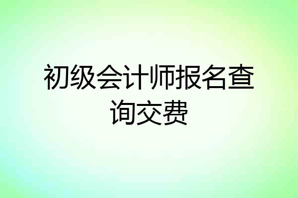 初级会计师报名查询交费