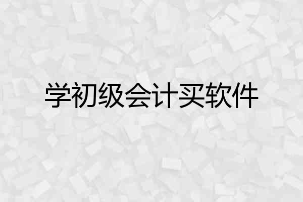 学初级会计买软件
