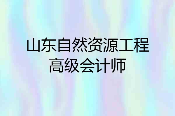 山东自然资源工程高级会计师