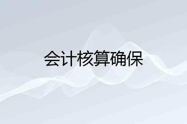 会计核算确保
