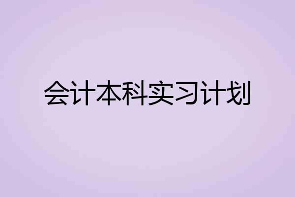 会计本科实习计划