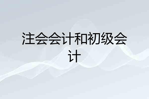 注会会计和初级会计